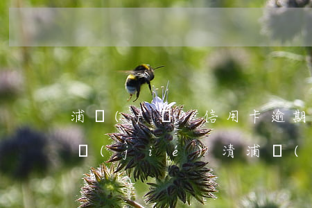 浦發(fā)信用卡逾期已經(jīng)結(jié)清(浦發(fā)信用卡逾期還清多久能用)