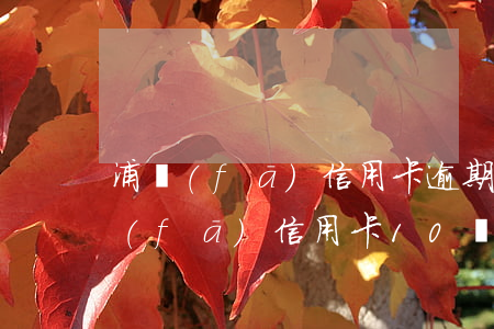 浦發(fā)信用卡逾期幾個月怎么辦 浦發(fā)信用卡10萬逾期六個月