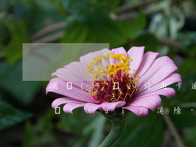 浦發(fā)信用卡逾期幾天上征信了多久會(huì)消除-浦發(fā)信用卡逾期幾天上征信了多久會(huì)消除記錄