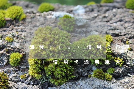 浦發(fā)信用卡逾期幾天征信(浦發(fā)信用卡逾期幾天征信正常)