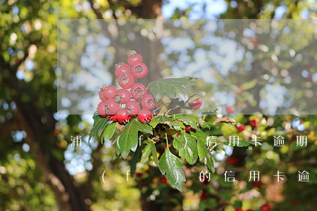 浦發(fā)信用卡逾期幾天要求還全款(浦發(fā)的信用卡逾期之后還清了,卡還能用嗎)