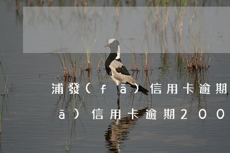 浦發(fā)信用卡逾期幾萬抓人(浦發(fā)信用卡逾期2000怎么辦)