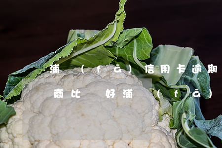 浦發(fā)信用卡逾期怎么協(xié)商比較好(浦發(fā)逾期半個月還是還不上要怎么協(xié)商)