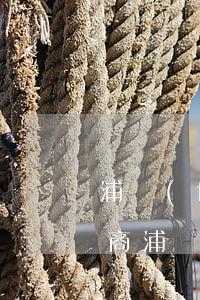 浦發(fā)信用卡逾期怎么協(xié)商(浦發(fā)信用卡逾期怎么協(xié)商 比較好)