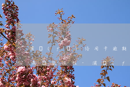 浦發(fā)信用卡逾期怎么協(xié)商還款流程-浦發(fā)信用卡逾期怎么協(xié)商還款流程圖