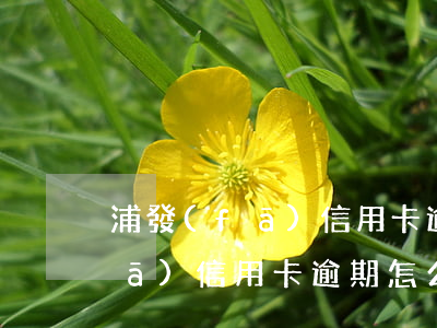 浦發(fā)信用卡逾期怎么消除(浦發(fā)信用卡逾期怎么消除)
