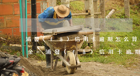浦發(fā)信用卡逾期怎么算利息和違約金-浦發(fā)信用卡逾期怎么算利息和違約金的