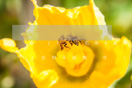 浦發(fā)信用卡逾期成功率(浦發(fā)信用卡逾期一年會(huì)起訴嗎)