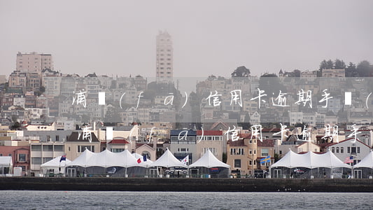 浦發(fā)信用卡逾期手續(xù)費-浦發(fā)信用卡逾期手續(xù)費