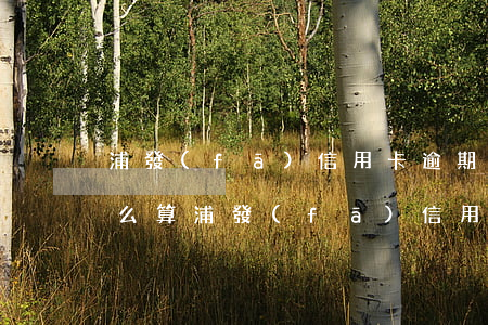 浦發(fā)信用卡逾期手續(xù)費怎么算(浦發(fā)信用卡逾期手續(xù)費怎么算的)