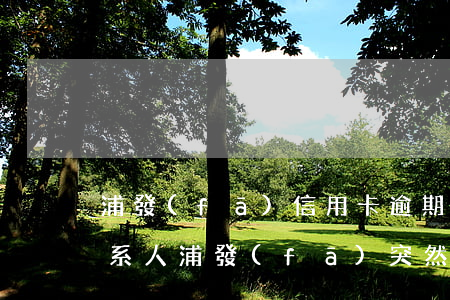 浦發(fā)信用卡逾期打聯(lián)系人(浦發(fā)突然打電話讓辦信用卡)