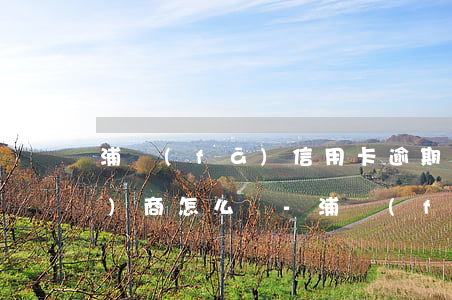 浦發(fā)信用卡逾期打電話協(xié)商怎么辦-浦發(fā)信用卡逾期打電話協(xié)商怎么辦呢
