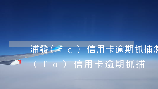 浦發(fā)信用卡逾期 抓捕怎么處理（浦發(fā)信用卡逾期 抓捕）