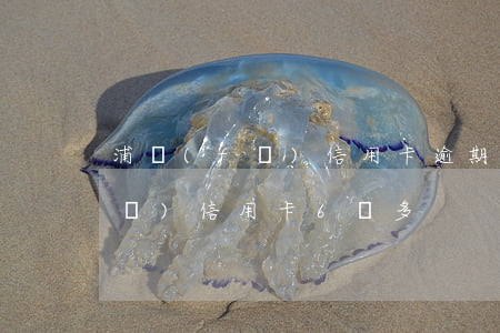 浦發(fā)信用卡逾期接近6萬(浦發(fā)信用卡6萬多)