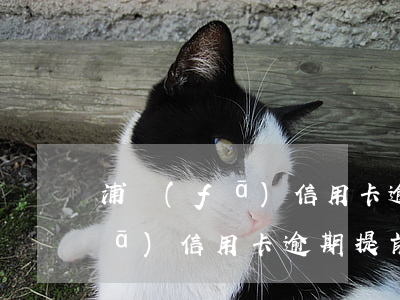 浦發(fā)信用卡逾期提前溝通(浦發(fā)信用卡逾期提前溝通會(huì)怎么樣)