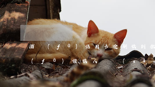 浦發(fā)信用卡逾期收到微信催收(浦發(fā)催收人員說(shuō)信用卡欠款先處理一步分)