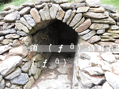 浦發(fā)信用卡逾期收到法院傳票(浦發(fā)信用卡逾期收到法院傳票)