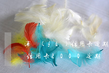 浦發(fā)信用卡逾期政策(浦發(fā)信用卡2000逾期兩年)