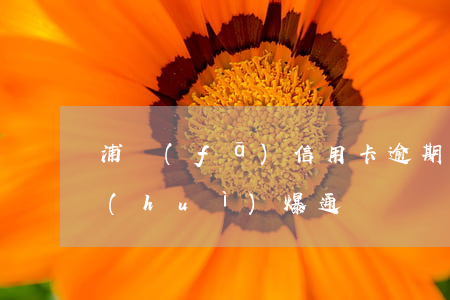 浦發(fā)信用卡逾期會(huì)不會(huì)爆通訊錄(銀行卡逾期會(huì)爆通訊錄嗎)