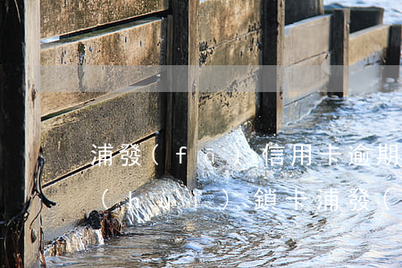 浦發(fā)信用卡逾期會(huì)不會(huì)鎖卡(浦發(fā)卡長(zhǎng)時(shí)間不用被鎖)