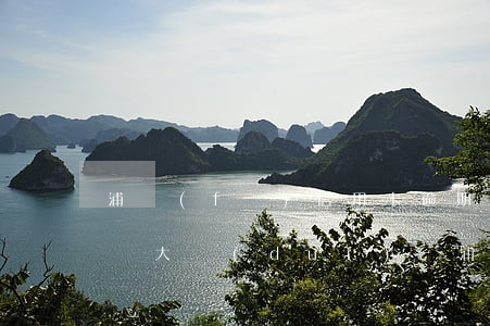 浦發(fā)信用卡逾期會(huì)交刑偵大隊(duì)嗎(浦發(fā)銀行真的會(huì)刑事起訴嗎)
