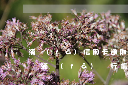 浦發(fā)信用卡逾期會(huì)傳票嗎(浦發(fā)銀行信用卡逾期一萬多會(huì)被起訴嗎)