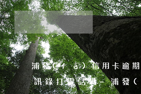 浦發(fā)信用卡逾期會(huì)給通訊錄打電話嗎-浦發(fā)信用卡逾期會(huì)給通訊錄打電話嗎