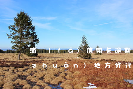 浦發(fā)信用卡逾期會(huì)轉(zhuǎn)地方分行(浦發(fā)銀行卡逾期半年了還能協(xié)商分期嗎?)