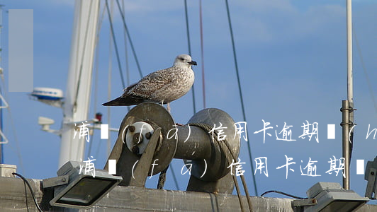 浦發(fā)信用卡逾期會(huì)鎖卡(浦發(fā)信用卡逾期會(huì)鎖卡)