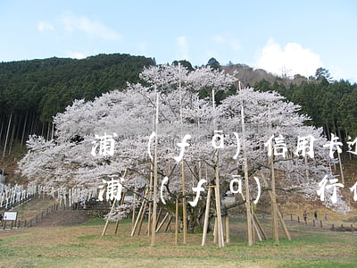 浦發(fā)信用卡逾期會不會扣儲蓄卡錢 浦發(fā)銀行信用卡 逾期