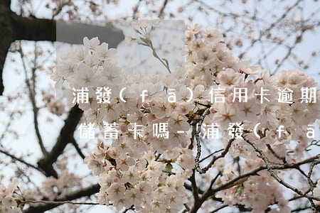 浦發(fā)信用卡逾期會凍結(jié)儲蓄卡嗎-浦發(fā)信用卡逾期會凍結(jié)儲蓄卡嗎安全嗎