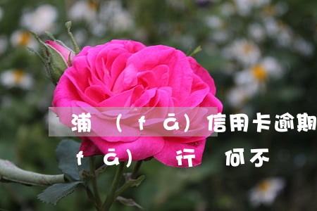 浦發(fā)信用卡逾期會利滾利嗎 浦發(fā)銀行為何不漲