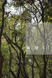 浦發(fā)信用卡逾期有人發(fā)通告