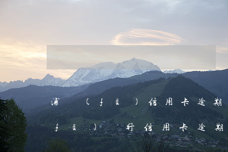 浦發(fā)信用卡逾期有幾百的還(浦發(fā)銀行信用卡 逾期)