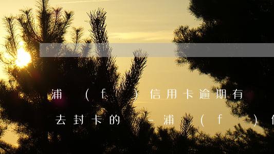 浦發(fā)信用卡逾期有還進(jìn)去封卡的嗎-浦發(fā)信用卡逾期有還進(jìn)去封卡的嗎安全嗎