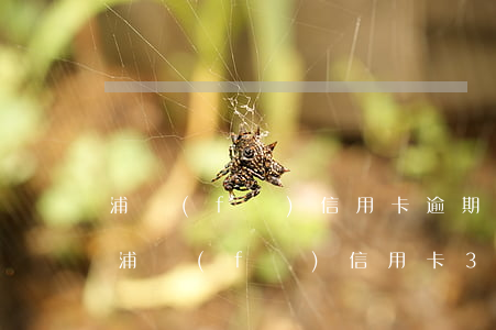 浦發(fā)信用卡逾期本金怎么算利息-浦發(fā)信用卡3天算逾期嗎