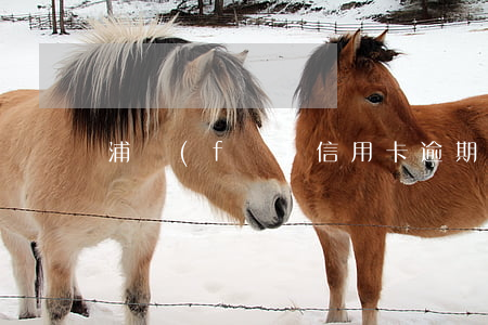 浦發(fā)信用卡逾期查不到卡片