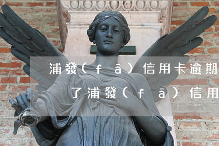 浦發(fā)信用卡逾期沒動(dòng)靜了(浦發(fā)信用卡回訪都沒有就批了)
