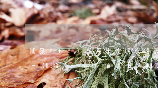 浦發(fā)信用卡逾期沒錢跟誰商量分期-浦發(fā)信用卡逾期沒錢跟誰商量分期還款