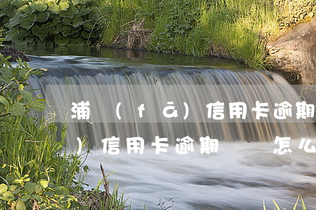 浦發(fā)信用卡逾期沖銷-浦發(fā)信用卡逾期沖銷怎么辦