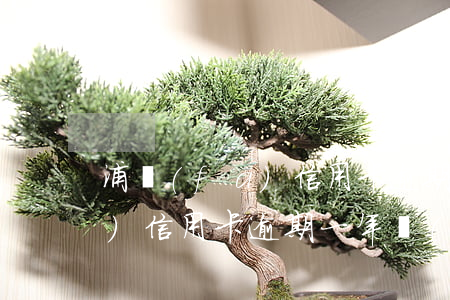 浦發(fā)信用卡逾期注銷嗎(浦發(fā)信用卡逾期一年會(huì)起訴嗎)