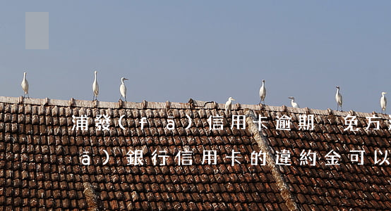 浦發(fā)信用卡逾期減免方法(浦發(fā)銀行信用卡的違約金可以申請減免嗎)