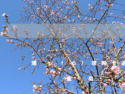 浦發(fā)信用卡逾期滯納金怎么減免(申請滯納金減免)