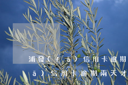 浦發(fā)信用卡逾期漲用還不(浦發(fā)信用卡逾期兩天才還上,影響信用記錄嗎)
