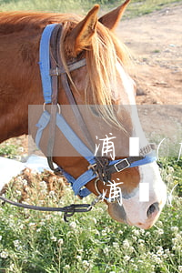 浦發(fā)信用卡逾期無力償還怎么辦-浦發(fā)信用卡逾期無力償還怎么辦理
