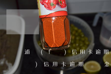浦發(fā)信用卡逾期無法消費(浦發(fā)信用卡逾期違約金可以申請不還嗎)