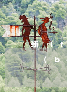 浦發(fā)信用卡逾期申請(qǐng)報(bào)案流程郵政-浦發(fā)信用卡 逾期