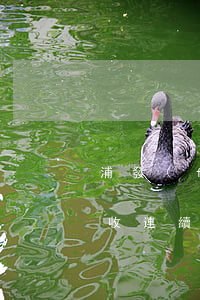 浦發(fā)信用卡逾期發(fā)短信催收(連續(xù)兩個(gè)月收到浦發(fā)信用卡風(fēng)控短信)