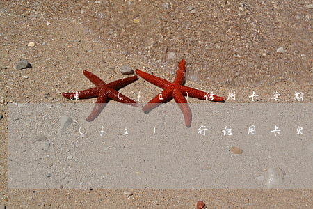 浦發(fā)信用卡逾期百分之5(上海浦發(fā)銀行信用卡欠款五萬逾期三個月)