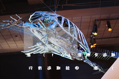 浦發(fā)信用卡逾期直接執(zhí)行 有逾期能申請浦發(fā)信用卡